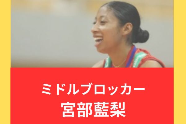 宮部藍梨